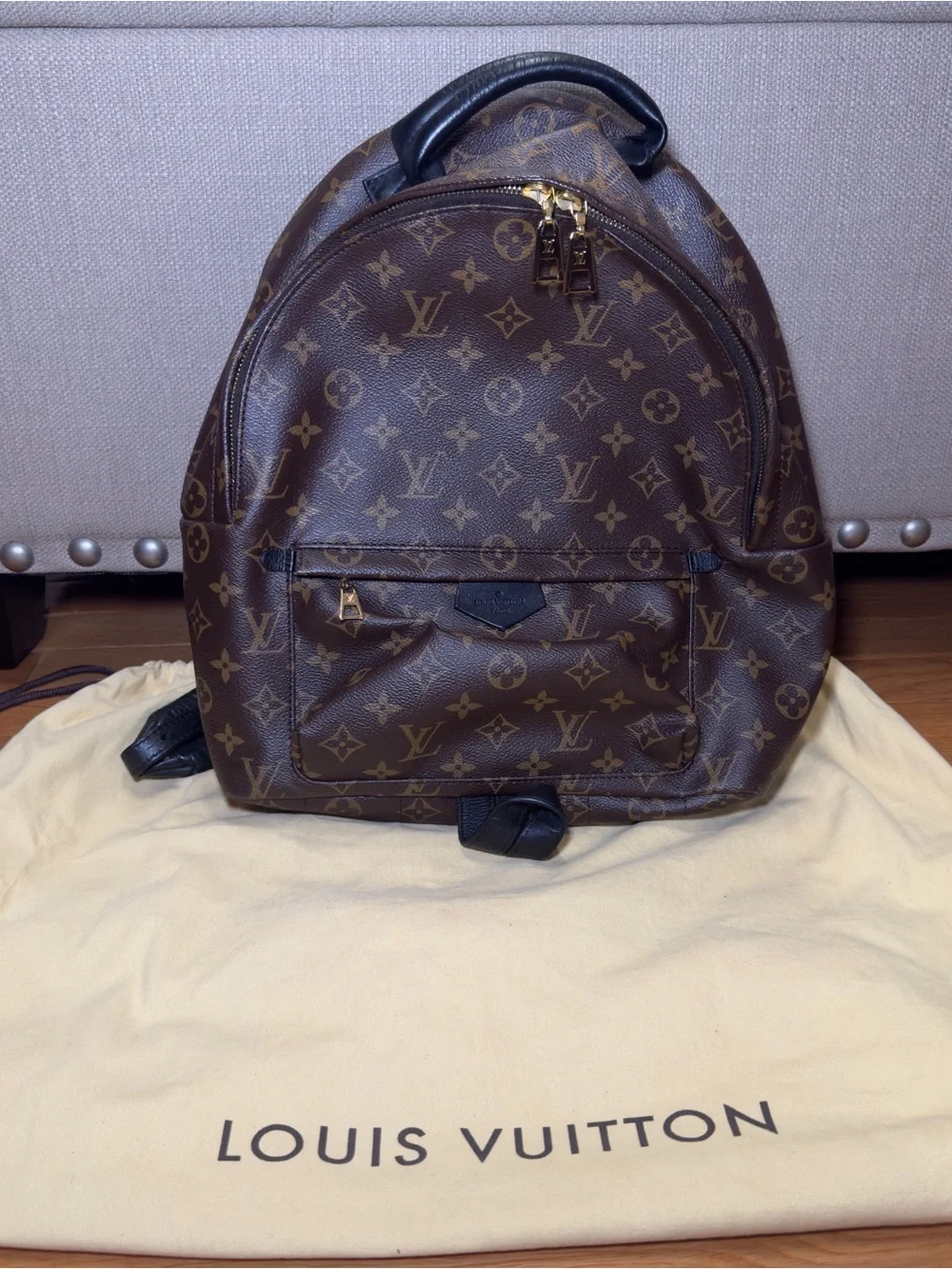 Louis Vuitton Monogram Palm Springs Backpack MM